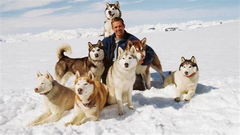 8 below fotos|Eight Below Photos